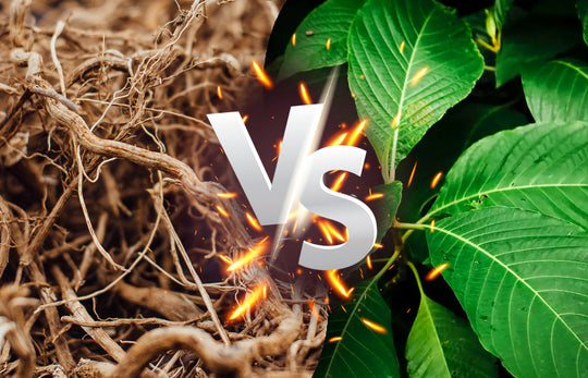 Kava Vs Kratom: What's The Difference And What Is Right For You?